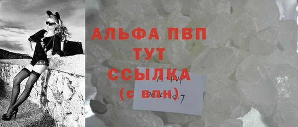 СК Медногорск