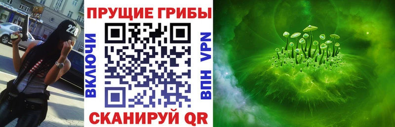 Галлюциногенные грибы прущие грибы  Кисловодск 
