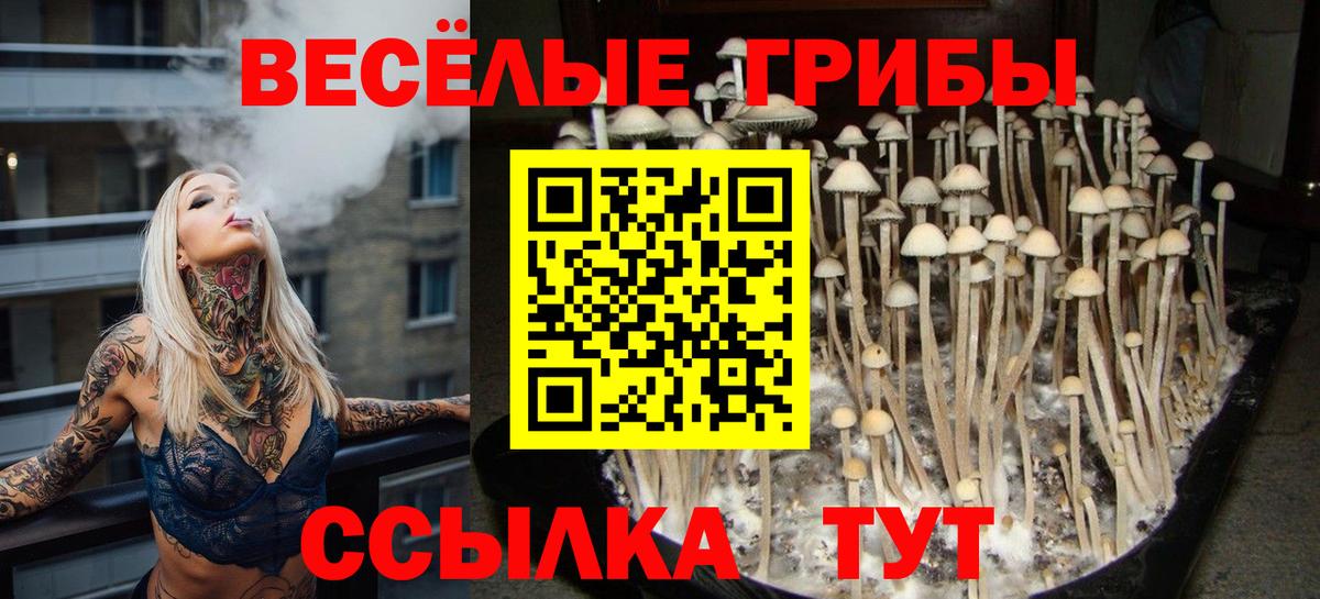 Галлюциногенные грибы мицелий  Галлюциногенные грибы Psilocybine cubensis  Вход с VPN  Кисловодск 